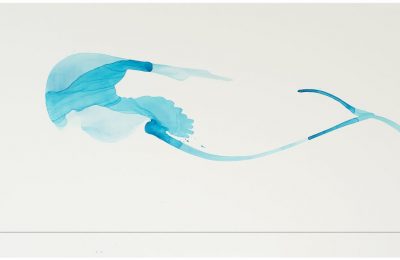 2018 Bato, Moby Dick III, tec mist su tela cm 85,5 x151 HQ_WEB